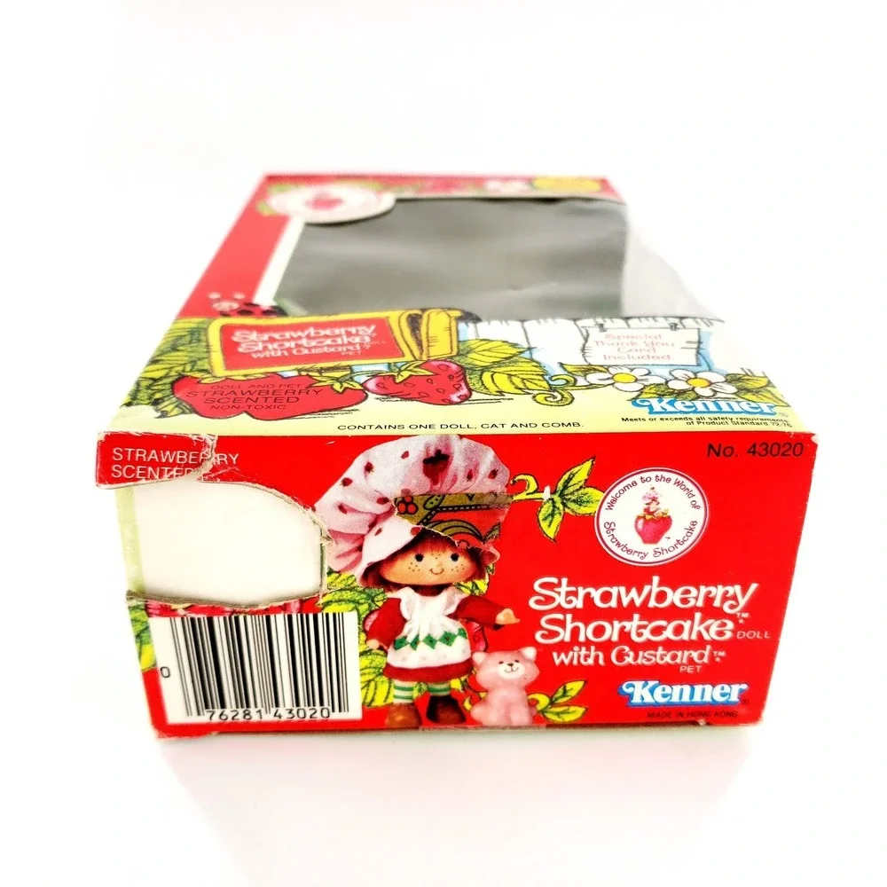 Vintage Strawberry Shortcake Doll w/ Custard 43020 Complete In Box Kenner